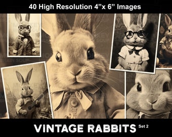 More Vintage Style Cute and funny Bunny Rabbits for collages, cards, crafts, scrapbooks, junk journals. Instant download. 40 pack 300dpi