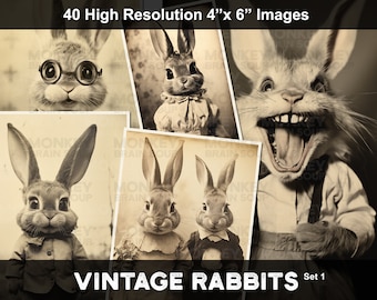 Vintage Style Cute and funny Bunny Rabbits for collages, cards, crafts, scrapbooks, pins, junk journals. Instant download. 40 pack 300dpi