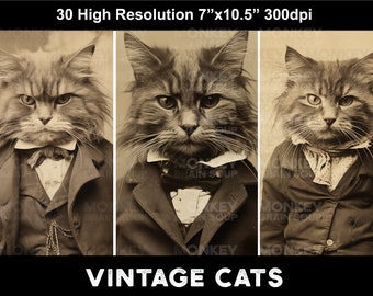 Fotos de gatos em estilo vintage. Pacote para download com 30 imagens em alta resolução para álbuns de recortes, colagens, cartões e artesanato.