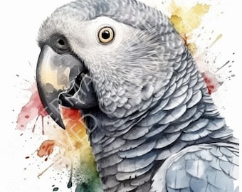 African Grey parrot head bird pet bird watercolour digital art digital download PNG