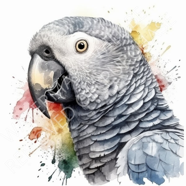 African Grey parrot head bird pet bird watercolour digital art digital download PNG