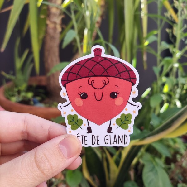 Sticker laminé " tete de gland" / sticker humour noir/ idee cadeau drole