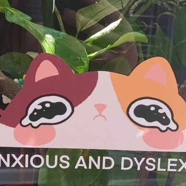 Funny car sticker "Anxious and dyslexic"