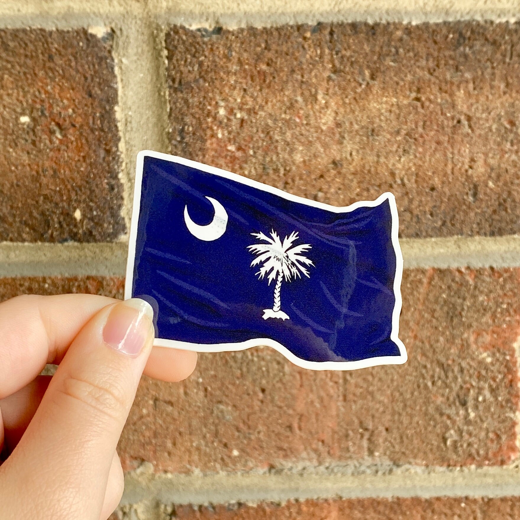 Sticker Design Sc Charleston, South Carolina Sticker Pack - Etsy