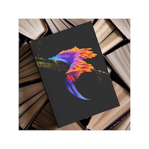 Spanish Shawl Nudibranch Hardback Journal: Marine Biology Lined Notebook