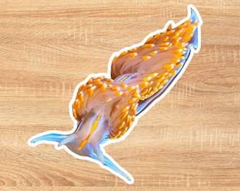 Op de afbeelding: Een sticker met een levendige zeeslak met een doorschijnend lichaam, versierd met oranje en witte stippen. De slak heeft blauwe aanhangsels en een gele streep over het lichaam. De sticker is geplaatst tegen een houten achtergrond.