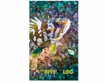 May include: A close-up of a white, brown, and yellow fish with black eyes swimming in a colorful coral reef. The text "DIVE LOG" is in yellow letters at the bottom of the image.