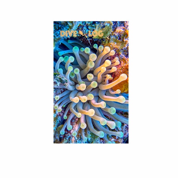 Anemone Scuba Dive Log - Diving Journal - Underwater Photo Diver Logbook - Coral Reef Photo Diver Noteook - Sea Life/Ocean Design Book