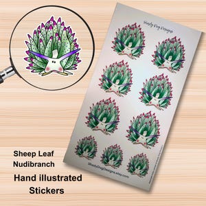 May include: Sheet of hand-illustrated stickers featuring a cartoon Sheep Leaf Nudibranch. The stickers have a green, pink, and purple color scheme. The stickers are on a white background with the text "Shady Dog Designs" and "Sheep Leaf Nudibranch Hand illustrated Stickers".