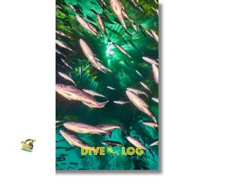 Blue Rockfish Kelp Forest Sunburst Scuba Dive Log Book: Diving Journal/Notebook