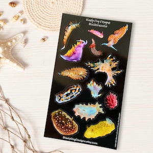 Puede incluir: Una hoja de pegatinas negra con ilustraciones coloridas de nudibranquios. La hoja tiene el texto "Shady Dog Designs Nudibranchs" y "ShadyDogDesigns.etsy.com". Los nudibranquios son de varios colores, incluyendo naranja, morado, amarillo y azul.