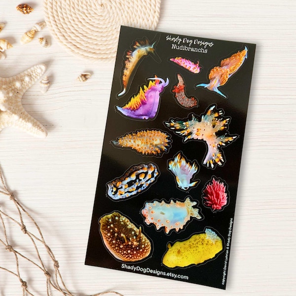 Adesivos fotográficos de nudibrânquios: 13 adesivos de vinil de lesmas-do-mar, presente de biologia marinha