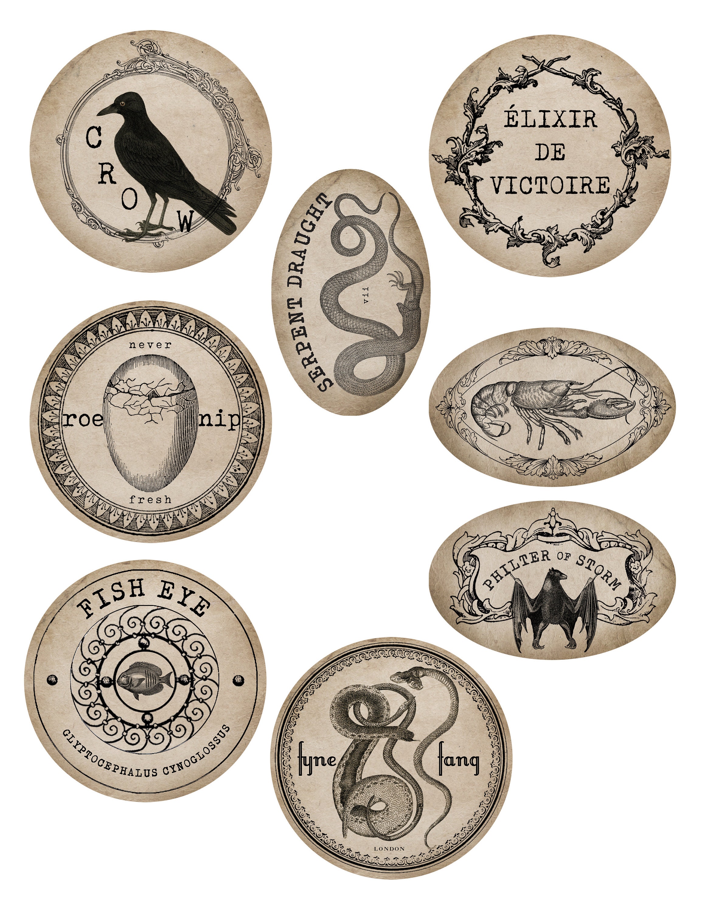 15 Printable Apothecary Potion Labels DIY Halloween Decor - Etsy UK