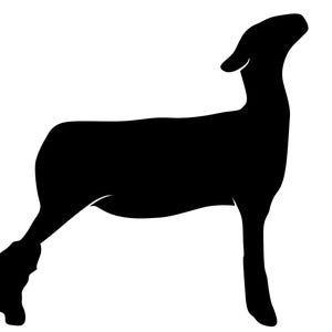 May include: A black silhouette of a sheep in profile, facing left. The sheep has a curved back, a raised head, and a single visible ear. The image is a simple, graphic representation of the animal.