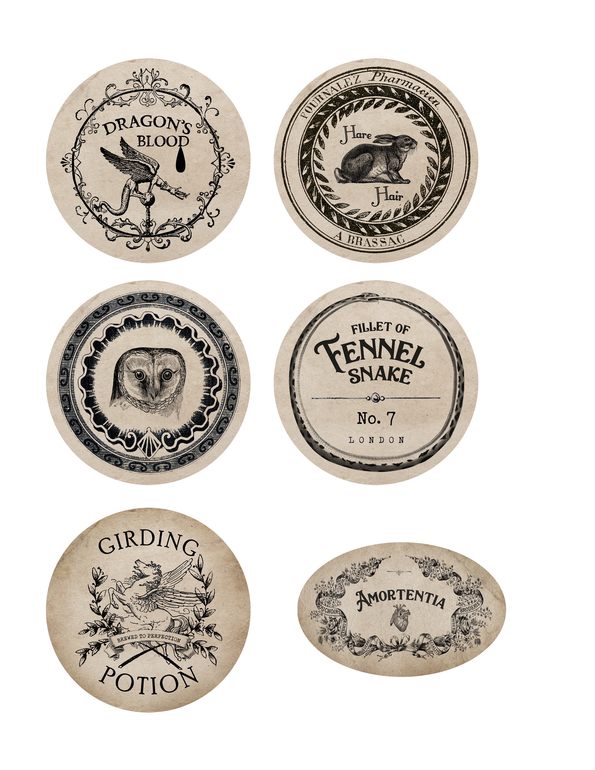 Printable Apothecary Potion Labels DIY Halloween Decor | Etsy