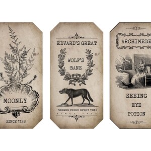 EDITABLE Printable Apothecary Labels | Blank DIY Halloween Decor ...