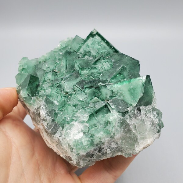Fluorite brute en cube main image 0