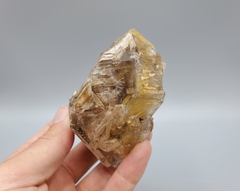Smoky Skeletal Fenster Quartz from Coahuila