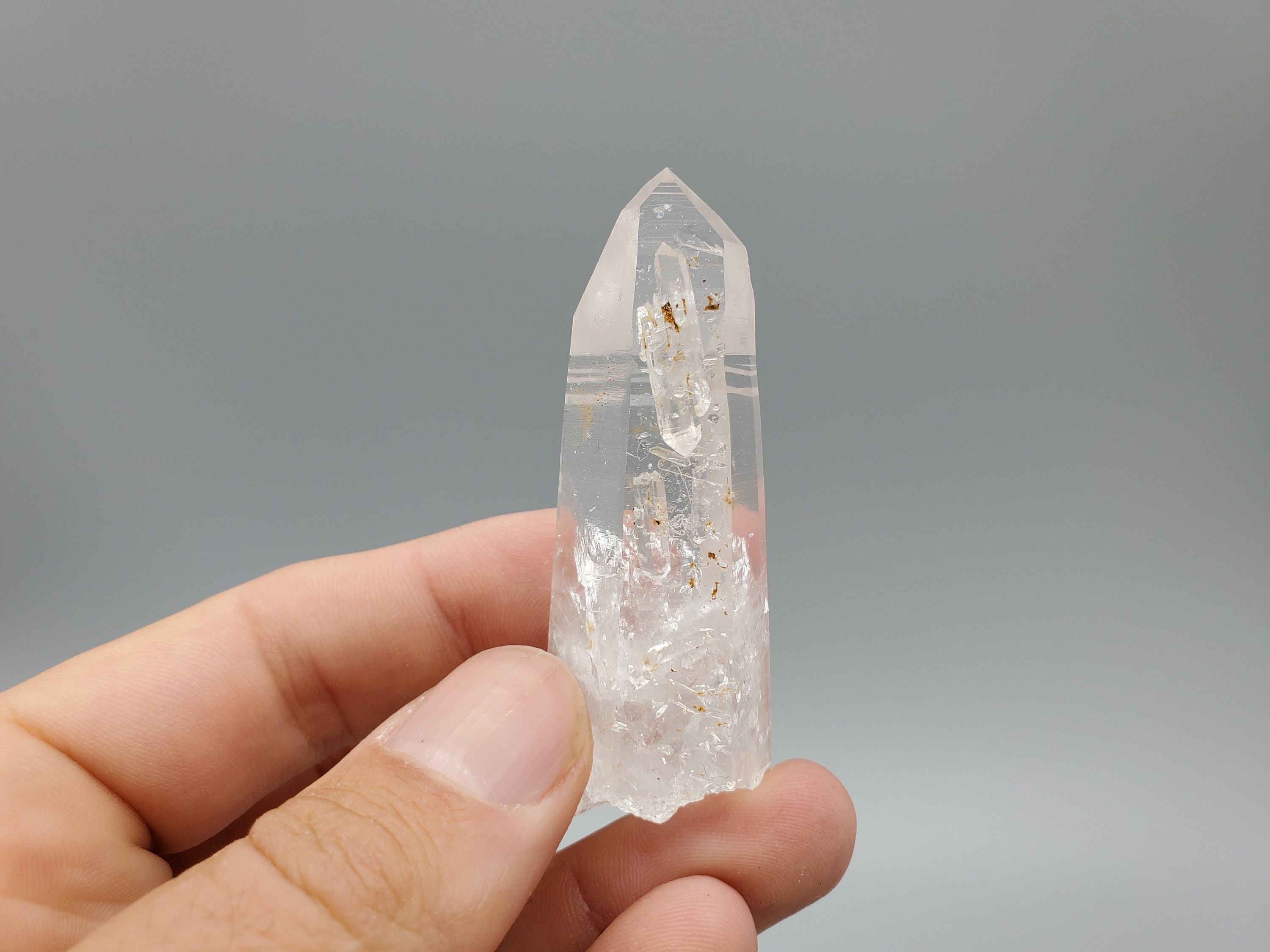 コロンビア サンタンデール産 コロンビアレムリアン il_fullxfull.3926457932_o817.jpg