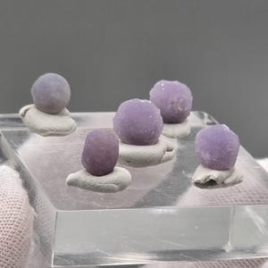 Puede incluir: Cinco pequeños especímenes minerales esféricos de color violeta claro con una superficie texturizada y cristalina. Cada piedra está montada sobre una pequeña base de arcilla irregular de color blanco roto, dispuestas sobre un soporte de acrílico.