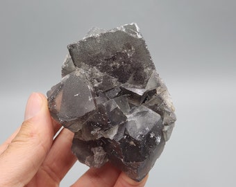 May include: A cluster of dark gray fluorite crystals with a translucent, glassy appearance. The crystals are sharp and well-defined, with a cubic shape.