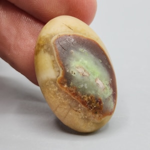 Cremefarbener Cabochon aus versteinertem Holz – einzigartiger versteinerter Edelstein | Indonesien