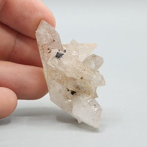 Rare Helvite Cluster on Quartz – Jinlong Mine, Guangdong, China (29.90 g)