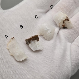 Peut inclure: Quatre spécimens de minéraux bruts, étiquetés de A à D, reposent sur une surface blanche. Les minéraux sont principalement blancs avec des inclusions brunes et beiges. Les spécimens varient en taille et en forme, mettant en valeur les formations cristallines naturelles.