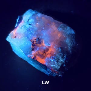 May include: A glowing mineral specimen under UV light. The rock displays vibrant colors, with areas of bright orange and blue, and the text "LW" at the bottom. The overall effect is a striking display of fluorescence.
