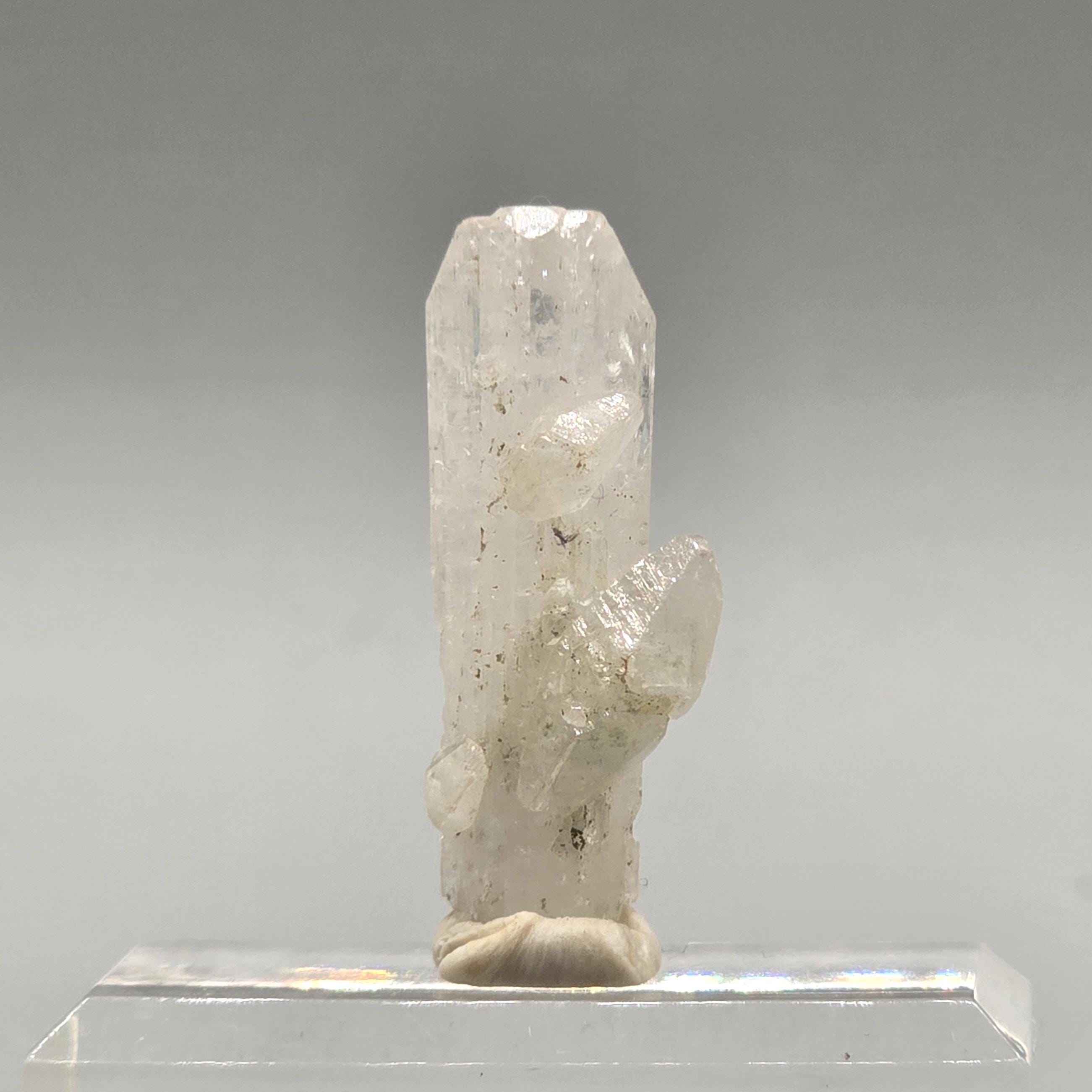 Paire De Danburite Naturelle Ovale Facetté 2,66 Carats - Gemmes Blanches Scintillantes