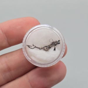 Native Silver Wire – San Martín Mine, Sombrerete, Zacatecas, Mexico (Miniature)