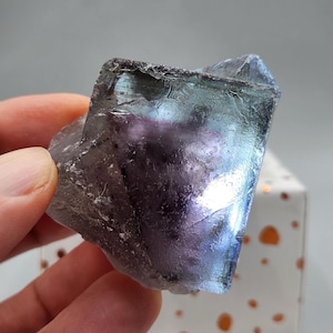 Puede incluir: Cristal de fluorita translúcida con tonos morados, azules y verdes. La piedra, sostenida en una mano, muestra su forma irregular y superficies reflectantes. Presenta un aspecto rugoso y texturizado.