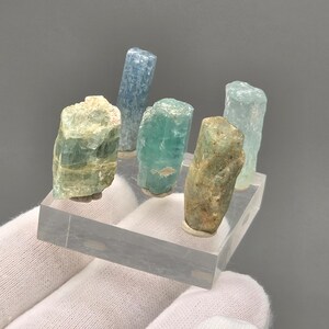 May include: Five raw aquamarine crystals in shades of blue and green are presented on a clear acrylic stand. The crystals have a rough, natural texture, showcasing their unique shapes and colours. The background is a neutral grey.