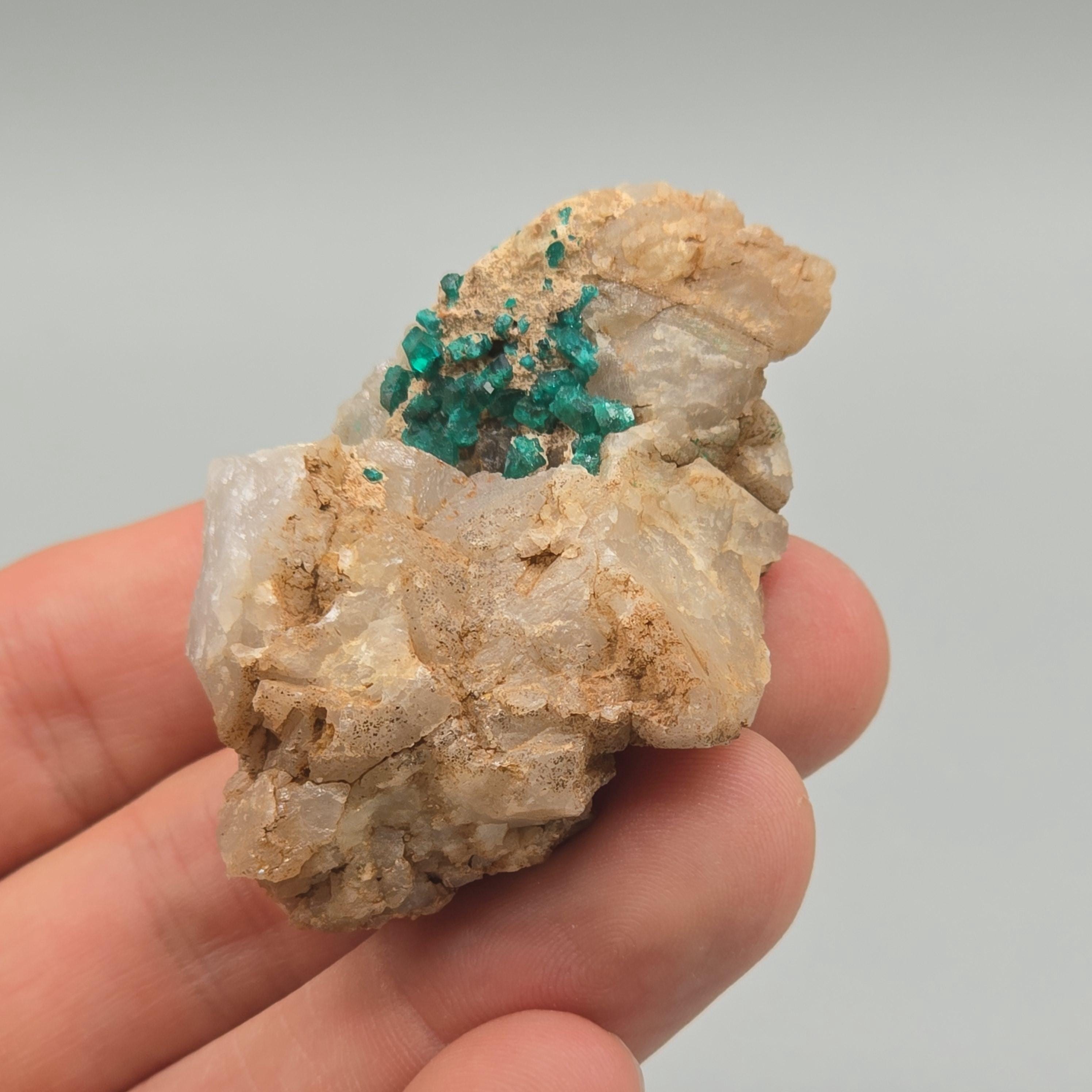 マトリックス上のダイオプテーズ結晶 – ツメブ鉱山、ナミビア（希少