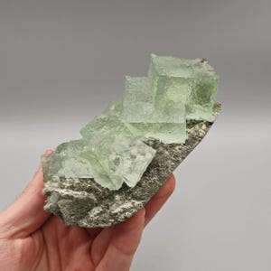 Könnte beinhalten: Ein Cluster aus hellgrünen Fluoritkristallen auf einer grauen Matrix. Die Kristalle sind durchscheinend und haben eine kubische Form.