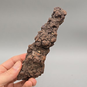 Peut inclure: Spécimen minéral brun rugueux avec une surface texturée et irrégulière. La roche a une couleur sombre et terreuse avec de petites taches de couleur plus claire. Le minéral est tenu dans une main sur un fond gris.