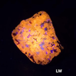 May include: A glowing, irregularly shaped rock with a textured surface. The rock is primarily orange with scattered blue and red spots, set against a black background. The letters "LW" are visible in white.