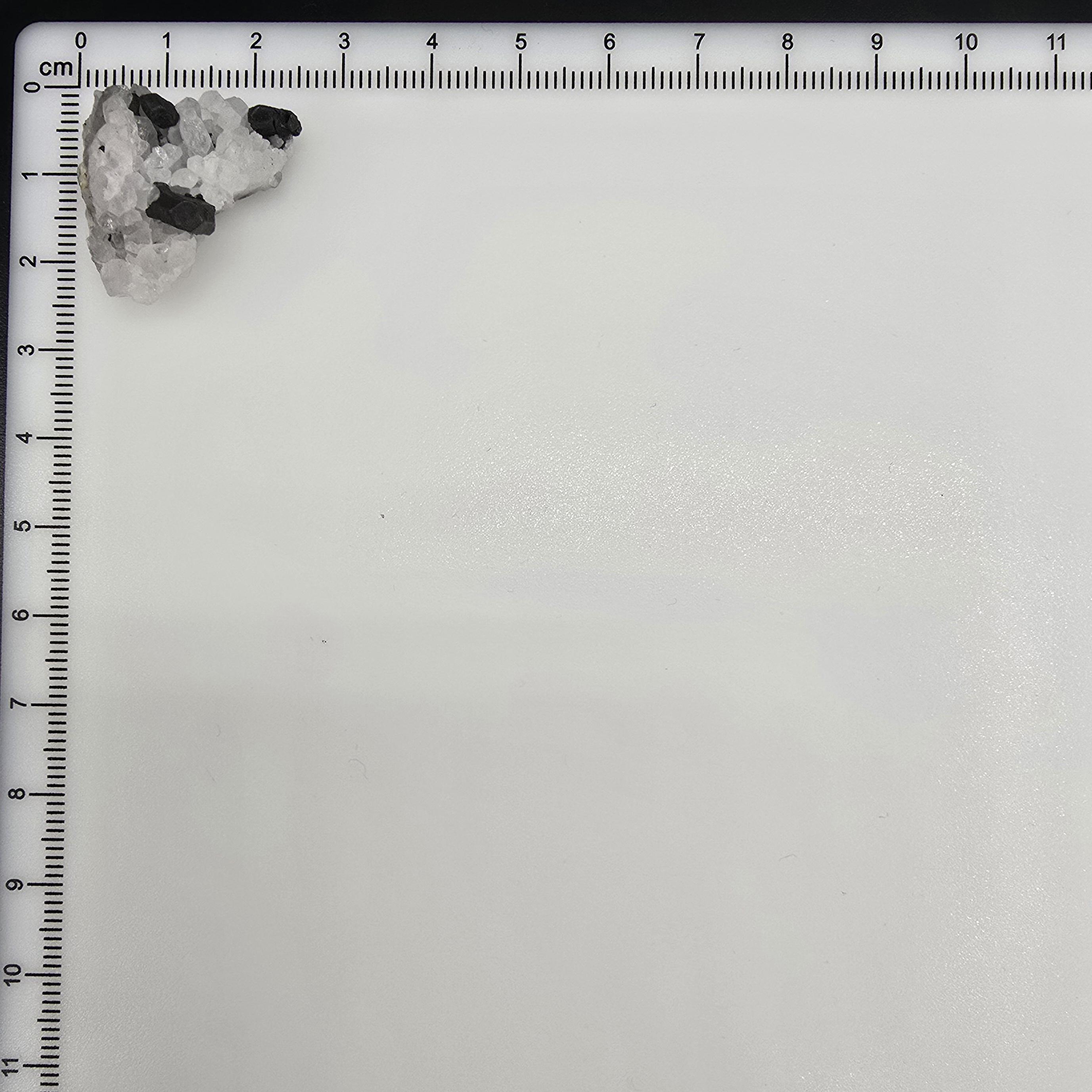 石英マトリックス上のアカンサイト結晶 – メキシコ、グアナファト州