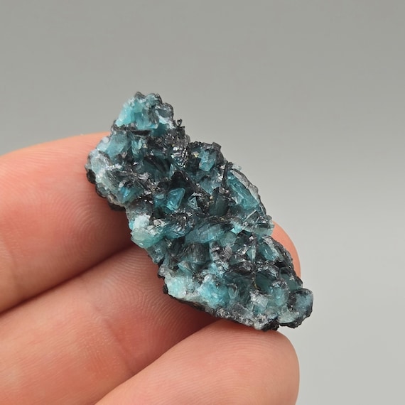 Crystallized Borcarite on Manganese-Oxide Matrix – San Bartolo Mine, Charcas, Mexico