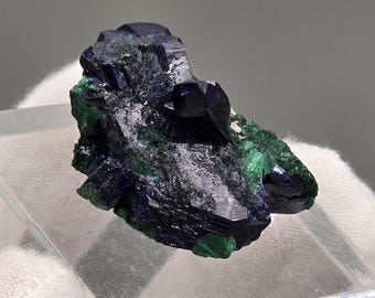 Terminated Azurite Crystal on Malachite – Milpillas Mine, Mexico (16.70 g)