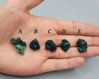 Dioptase Crystal from Kolwezi, Congo