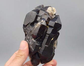 Elestial Black Morion Quartz Cluster – 905g, Kanam, Nigeria