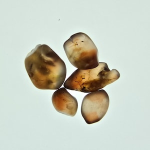May include: Five polished gemstones in shades of amber, brown, and cream. The stones are smooth, rounded, and translucent, with a natural appearance. They are arranged on a white background, highlighting their colours and shapes. Each stone is approximately 2-3 cm in size.