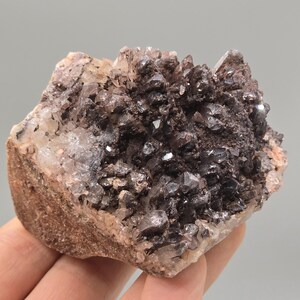 Könnte beinhalten: Ein Cluster aus dunkelbraunen Kristallen mit glitzernder Oberfläche. Die Kristalle sind dicht auf einer rauen, hellbraunen und beigen Felsformation angeordnet. Der Fokus liegt auf der kristallinen Struktur des Minerals, was ihm ein natürliches Aussehen verleiht.