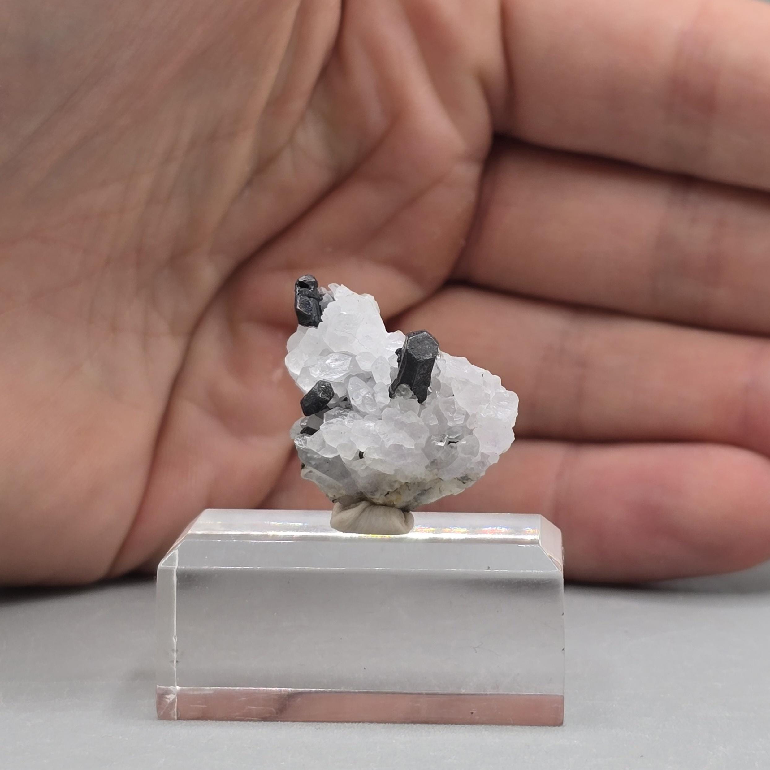 石英マトリックス上のアカンサイト結晶 – メキシコ、グアナファト州