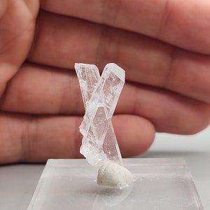 希少なニフォントバイト結晶 - メキシコ、チャルカス産の 2.56g 角柱状