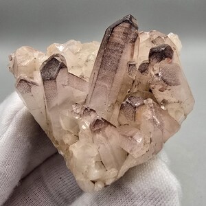 May include: A cluster of translucent quartz crystals featuring distinct dark brown to black phantoms within the points. The mineral specimen displays a jagged, multi-pointed formation with varying degrees of clarity and dark inclusions throughout.