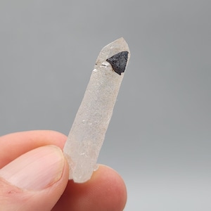 Rare Double-Terminated Helvite on Clear Quartz – Jinlong Mine, Guangdong, China – 6.71 g
