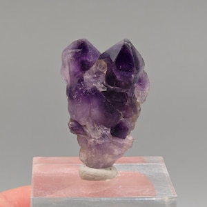 石英マトリックス上のアカンサイト結晶 – メキシコ、グアナファト州