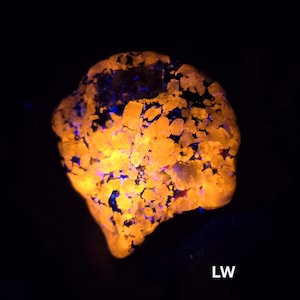 May include: A glowing, irregular-shaped rock with a vibrant orange and yellow color, speckled with patches of dark blue and black. The rock has a rough, textured surface and is set against a black background. The letters "LW" are visible in white.